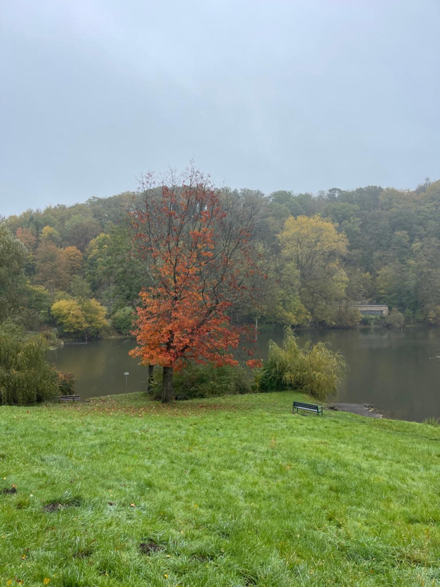 אולמן Ferienhaus Eifelstuben Mit Charme - Bauernstube Vulkaneifel - Naehe See Und Burgruine מראה חיצוני תמונה